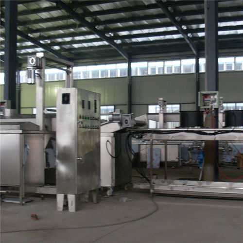 福鴻達機械廠 燃氣加熱薄脆油炸設備的硬件與輔助設備研究