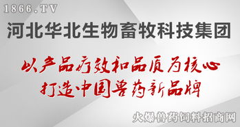 華北生物 聚焦生物技術開發，守護健康——病毒性疾病的防治原則與前沿實踐