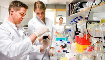 生物技術開發 光環背后的現實挑戰與未來之路