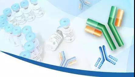 聚焦創(chuàng)新與合作 8月廣州國(guó)際生物技術(shù)大會(huì)引領(lǐng)抗體藥產(chǎn)業(yè)新浪潮